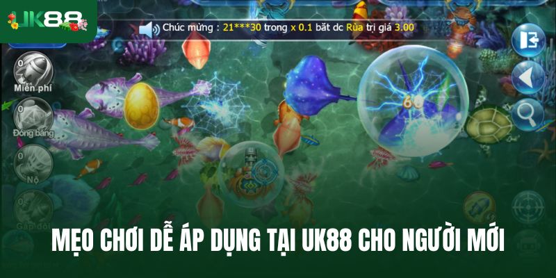 Mẹo chơi dễ áp dụng tại Uk88 cho người mới